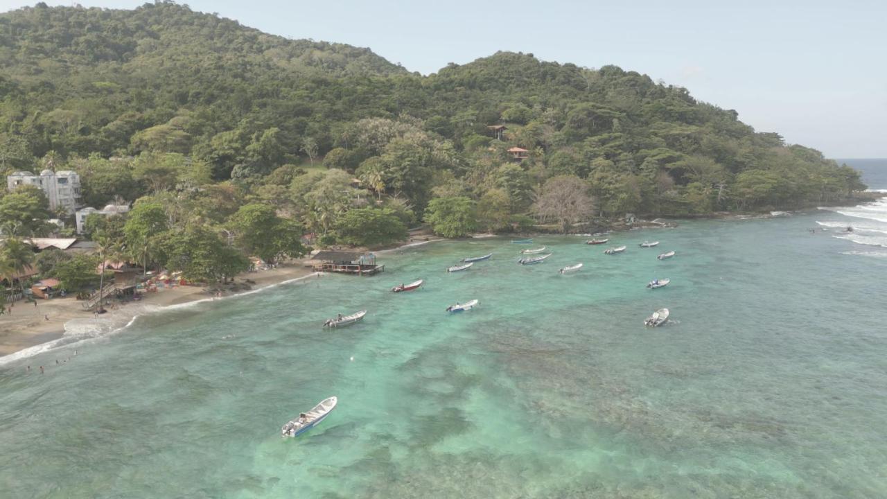 ホテル Los Robles Capurganá エクステリア 写真