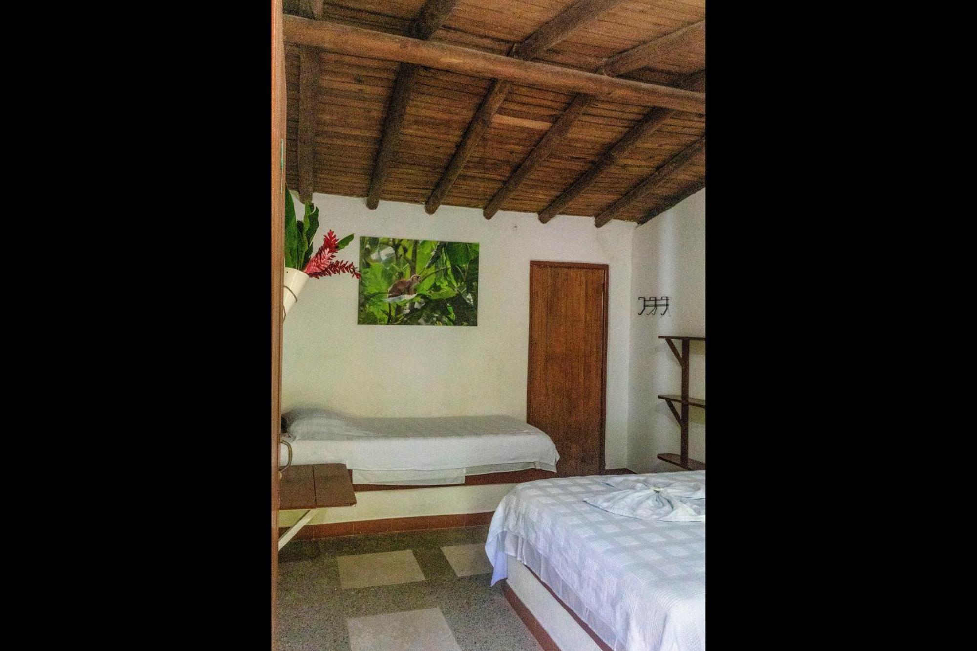 ホテル Los Robles Capurganá 部屋 写真