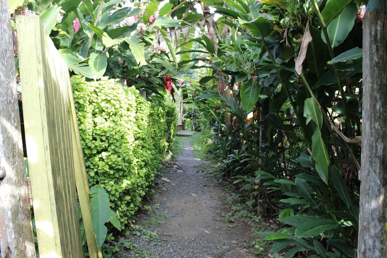 ホテル Los Robles Capurganá エクステリア 写真