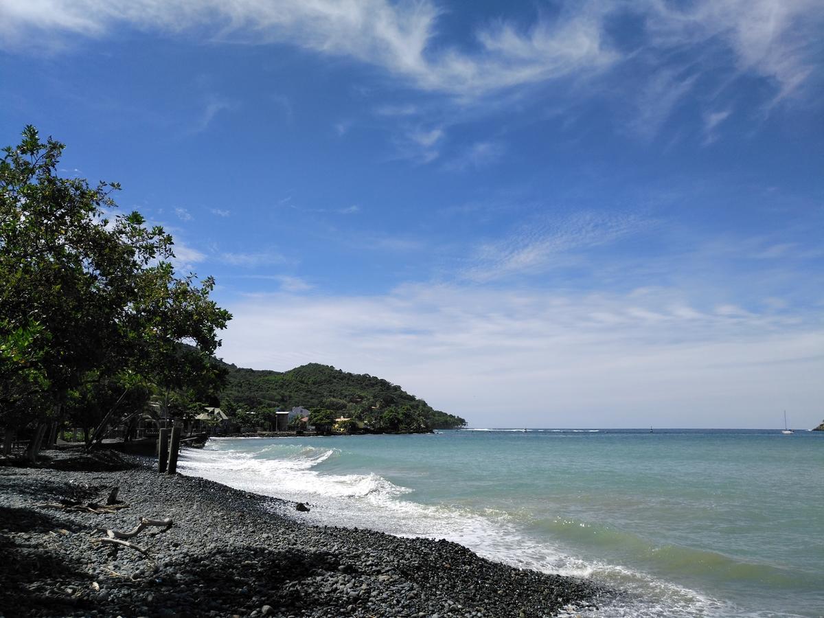ホテル Los Robles Capurganá エクステリア 写真
